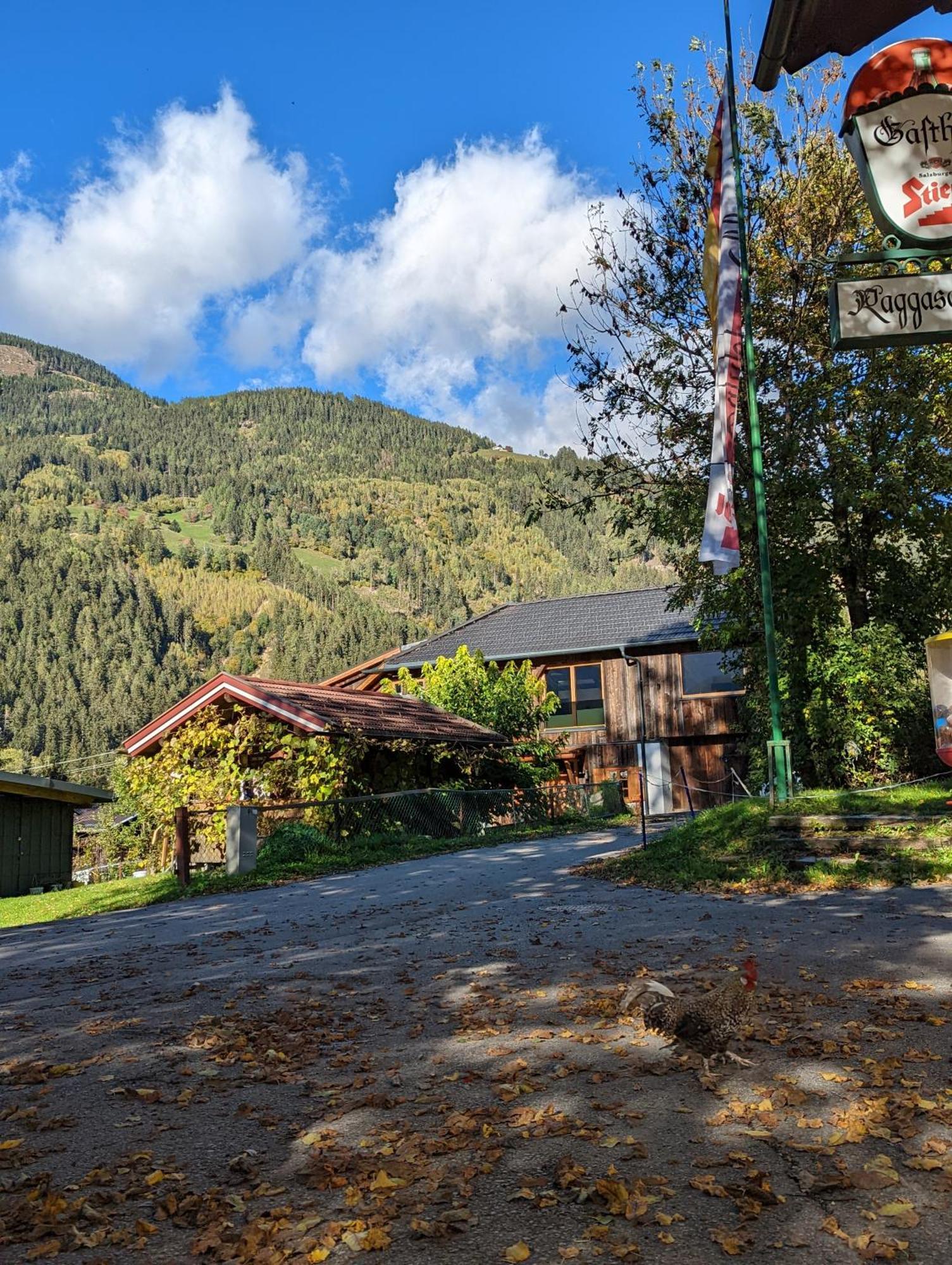 Chalet Schmelz Huette Mit Sauna Und Garten Флаттах Экстерьер фото